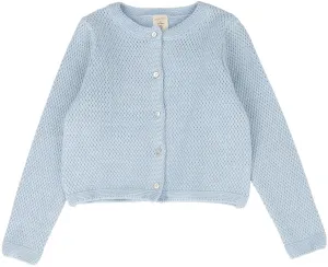 Analogie Knit Classic Cardigan in Light Blue